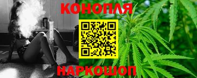 СК Рыбинск